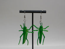 Load image into Gallery viewer, Grasshopper Earrings
