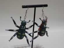 Load image into Gallery viewer, Grey Beetle Earrings
