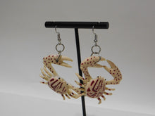 Load image into Gallery viewer, Crab Earrings
