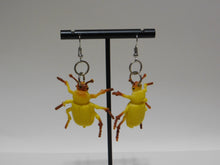 Load image into Gallery viewer, Yellow Beetle Earrings
