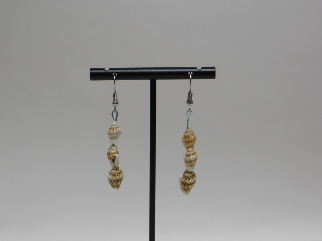 Seashell Earrings