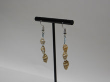 Load image into Gallery viewer, Seashell Earrings
