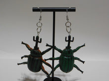 Load image into Gallery viewer, Green Beetle Earrings
