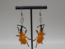 Load image into Gallery viewer, Orange Beetle Earrings
