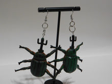 Load image into Gallery viewer, Green Beetle Earrings
