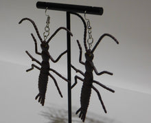 Load image into Gallery viewer, Silverfish Earrings
