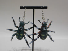 Load image into Gallery viewer, Grey Beetle Earrings
