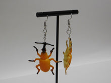 Load image into Gallery viewer, Orange Beetle Earrings
