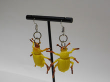 Load image into Gallery viewer, Yellow Beetle Earrings
