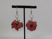 Load image into Gallery viewer, Resin Rose Earrings
